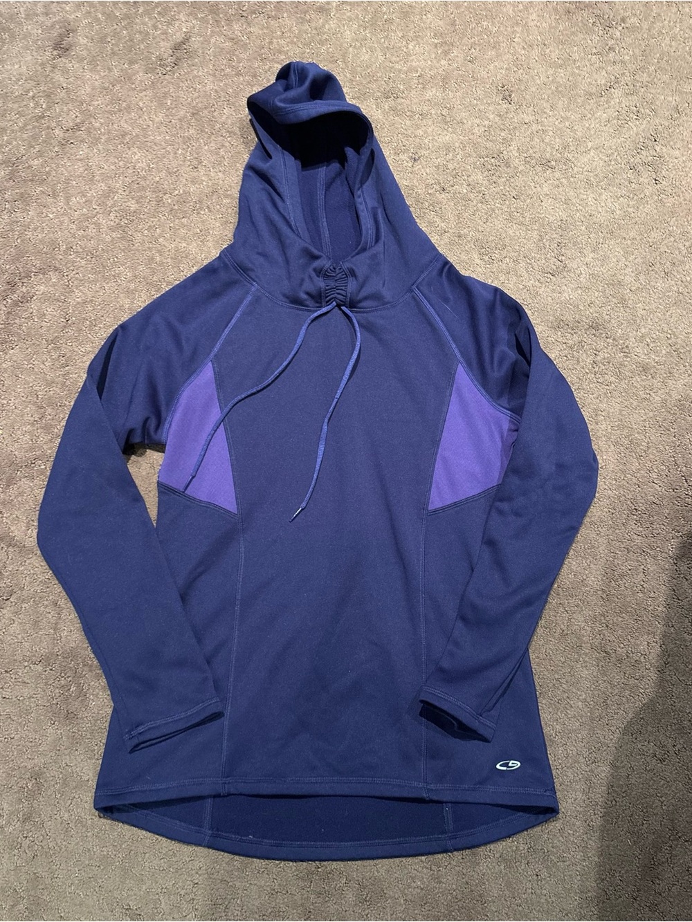 Champion Navy and Purple Hooded Pullover Sweater